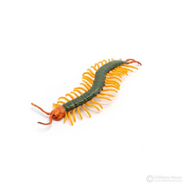 Life Cycle of Centipede Objects