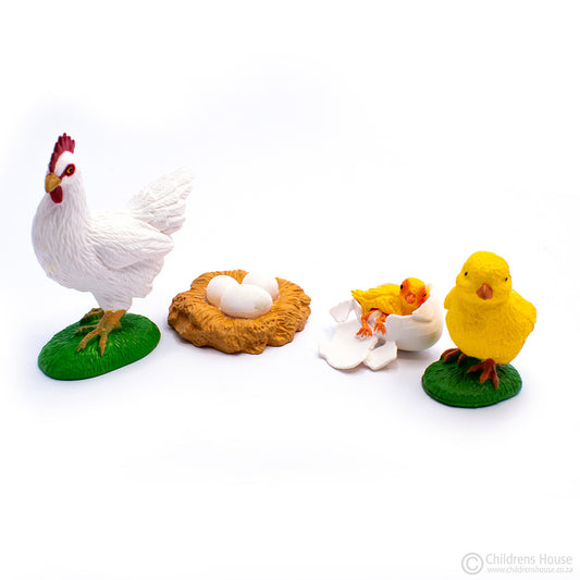 Life Cycle of a Chicken Objects